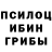 Псилоцибиновые грибы Psilocybe Vilena4k MilashaYT