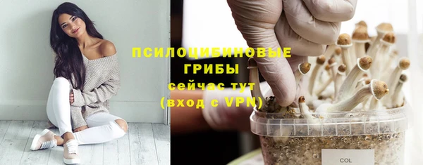 твердый Богородск
