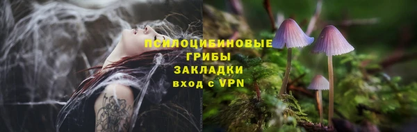 твердый Богородск