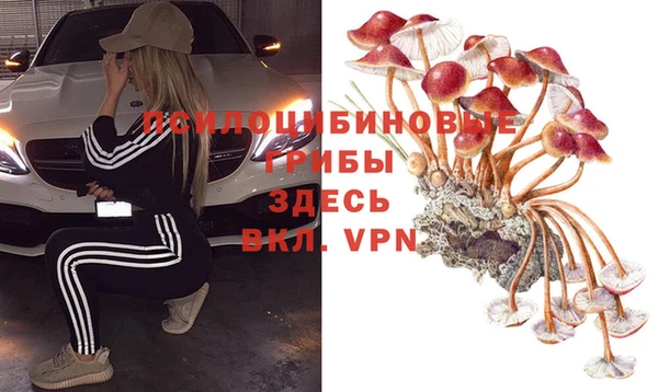 a pvp Богородицк
