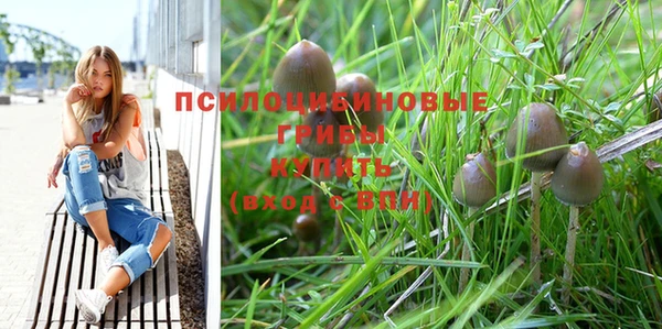 бутик Богданович