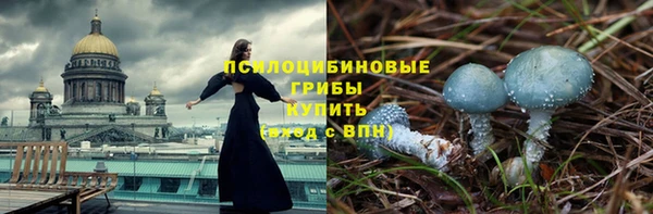 a pvp Богородицк