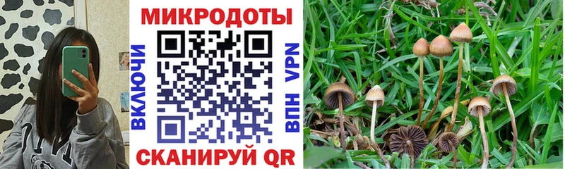 Галлюциногенные грибы GOLDEN TEACHER Верхний Уфалей